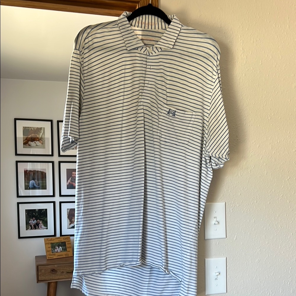 Men's Striped Polo Shirt - Blue and White